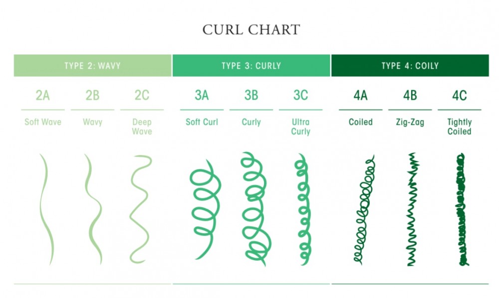 curl chart